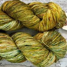 Load image into Gallery viewer, Early Autumn, merino nylon sock yarn