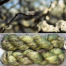 Load image into Gallery viewer, Winter Garden Aran, soft superwash merino yarn
