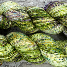 Load image into Gallery viewer, Woodland, merino nylon sock yarn