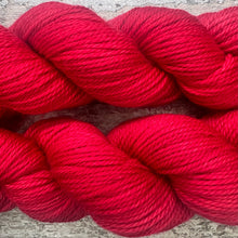 Load image into Gallery viewer, Rosehip Aran, soft superwash merino yarn