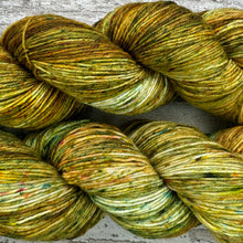 Load image into Gallery viewer, Early Autumn, merino nylon sock yarn