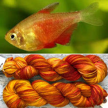Load image into Gallery viewer, Flame Tetra Fish DK, merino nylon yarn