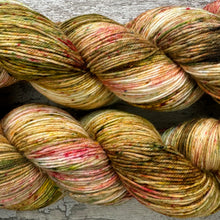 Load image into Gallery viewer, Tadpeople, merino nylon sock yarn