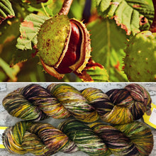 Load image into Gallery viewer, Horse Chestnut DK, merino nylon yarn