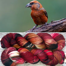 Load image into Gallery viewer, Crossbill, British Birds Bluefaced Leicester
