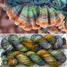 Load image into Gallery viewer, Turkey Tail, British Fungi Bluefaced Leicester