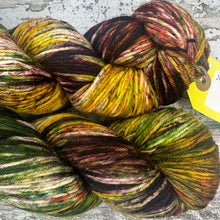 Load image into Gallery viewer, Horse Chestnut DK, merino nylon yarn