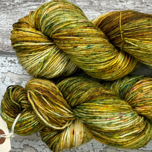 Load image into Gallery viewer, Early Autumn, merino nylon sock yarn