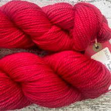 Load image into Gallery viewer, Rosehip Aran, soft superwash merino yarn
