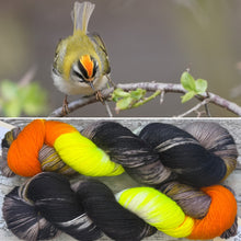 Load image into Gallery viewer, Firecrest, British Birds Bluefaced Leicester