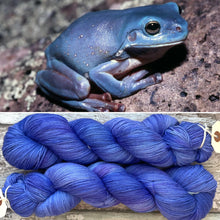 Load image into Gallery viewer, “Blue” White’s (Green) Tree frog, merino nylon sock yarn