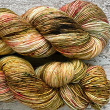 Load image into Gallery viewer, Tadpeople, merino nylon sock yarn