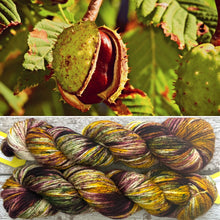 Load image into Gallery viewer, Horse Chestnut Aran, soft superwash merino yarn