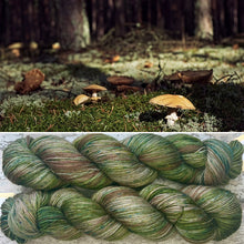 Load image into Gallery viewer, A Nice Grey DK, hand-dyed merino nylon yarn