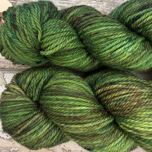 Load image into Gallery viewer, Mossy Frog Aran, soft superwash merino yarn