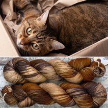 Load image into Gallery viewer, Cat in a Box!, merino nylon sock yarn