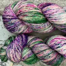 Load image into Gallery viewer, Seasonal Joy, merino nylon sock yarn