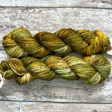 Load image into Gallery viewer, Early Autumn, merino nylon sock yarn