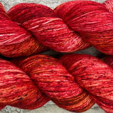 Load image into Gallery viewer, Discus Fish, merino nylon sock yarn