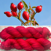 Load image into Gallery viewer, Rosehip Aran, soft superwash merino yarn