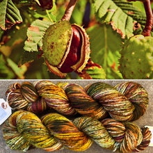 Load image into Gallery viewer, Horse Chestnut Aran, soft superwash merino yarn