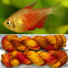 Load image into Gallery viewer, Flame Tetra Fish, merino nylon sock yarn