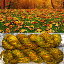 Load image into Gallery viewer, Cute Leaf Season Aran, soft superwash merino yarn