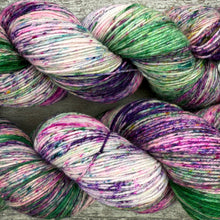 Load image into Gallery viewer, Seasonal Joy, merino nylon sock yarn