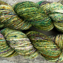 Load image into Gallery viewer, Woodland DK, merino nylon yarn