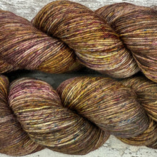 Load image into Gallery viewer, Autumn Vibes, merino nylon sock yarn
