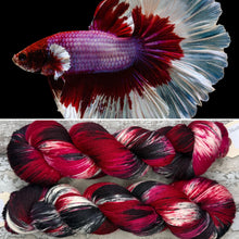 Load image into Gallery viewer, Betta Fish, merino nylon sock yarn