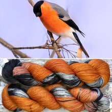 Load image into Gallery viewer, Bullfinch, British Birds Bluefaced Leicester