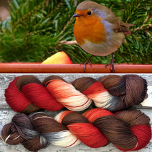 Load image into Gallery viewer, Robin, British Birds Bluefaced Leicester