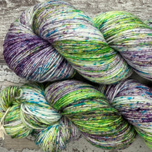 Load image into Gallery viewer, View of the Pool, merino nylon sock yarn