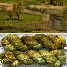 Load image into Gallery viewer, Early Autumn, merino nylon sock yarn