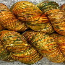 Load image into Gallery viewer, Woodland Way, merino nylon sock yarn