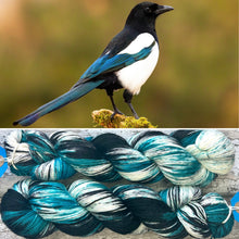 Load image into Gallery viewer, Magpie, merino nylon sock yarn