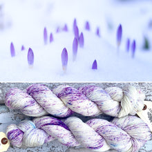 Load image into Gallery viewer, Crocuses in the Snow, merino nylon sock yarn