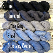 Load image into Gallery viewer, A Nice Grey DK, hand-dyed merino nylon yarn