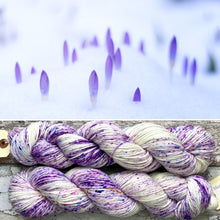 Load image into Gallery viewer, Crocuses in the Snow DK, merino nylon sock yarn