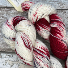 Load image into Gallery viewer, Winter Berries, merino nylon sock yarn