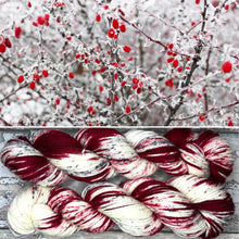 Load image into Gallery viewer, Winter Berries Aran, soft superwash merino yarn