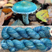Load image into Gallery viewer, Blue Roundhead, British Fungi Bluefaced Leicester