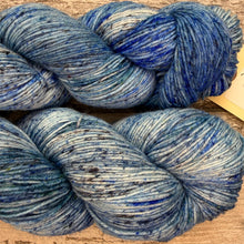 Load image into Gallery viewer, Coo Coo Cool, merino nylon sock yarn