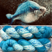 Load image into Gallery viewer, Turquoise Rainbowfish DK, merino nylon sock yarn