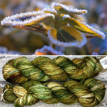 Load image into Gallery viewer, Frozen Earth, merino nylon sock yarn