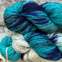 Load image into Gallery viewer, European Roller, merino nylon sock yarn