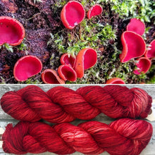 Load image into Gallery viewer, Scarlet Fairy Cup, British Fungi Bluefaced Leicester