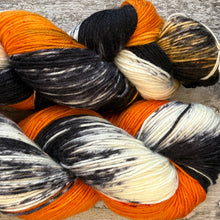 Load image into Gallery viewer, March Hoopoe, merino nylon sock yarn