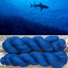 Load image into Gallery viewer, Tropical Ocean, merino nylon sock yarn